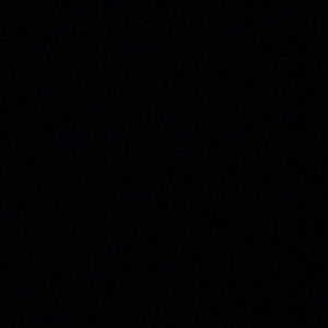 Meet your Posher, Gino